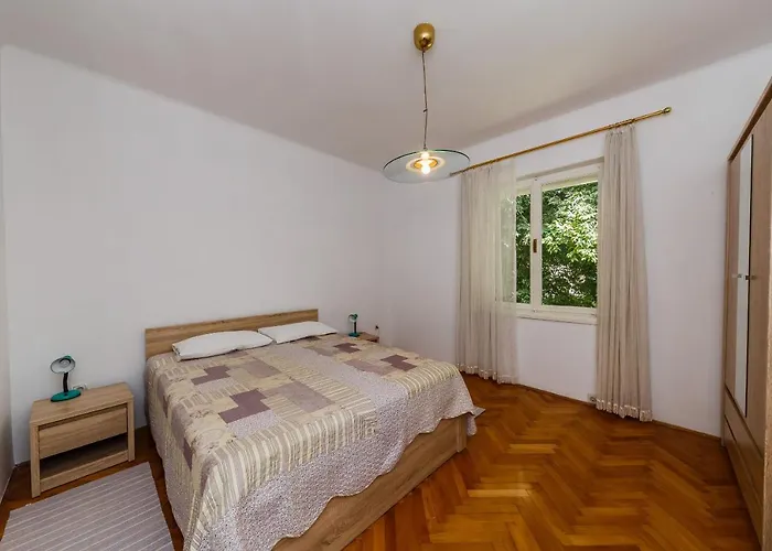 Appartement Jelen *